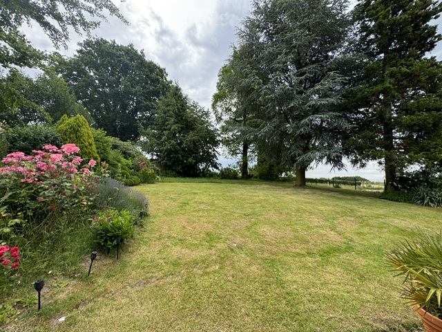 Gartenansicht Einfamilienhaus Solingen