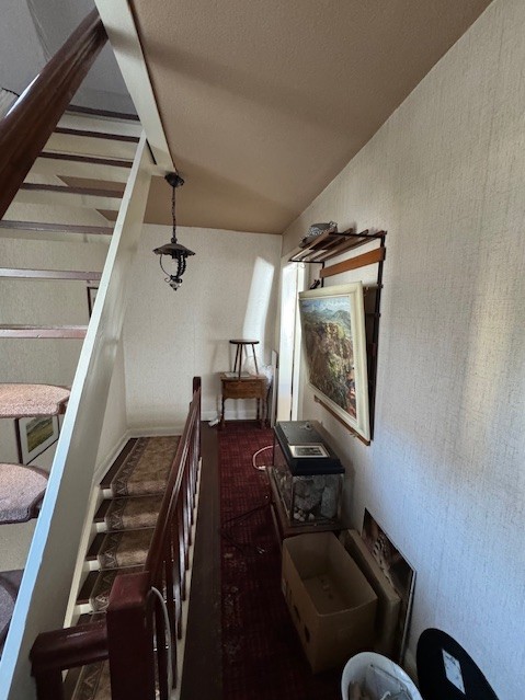 Treppenhaus Einfamilienhaus Solingen