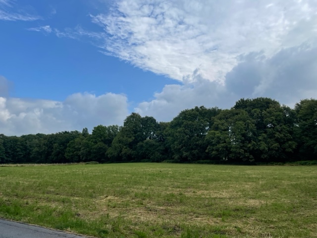  Freizeitgrundst�ck Langenfeld