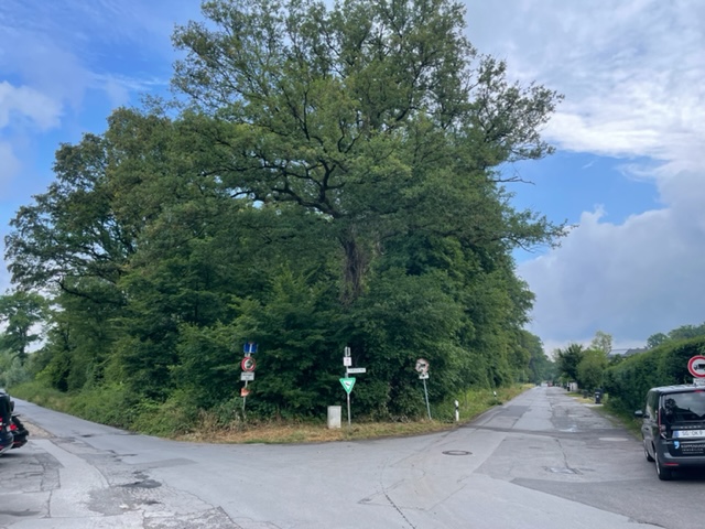  Freizeitgrundst�ck Langenfeld