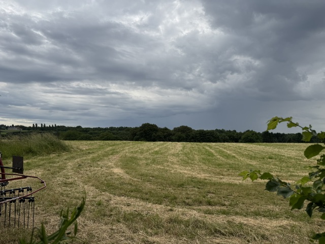 Landschaftsschutzgebiet Einfamilienhaus Solingen