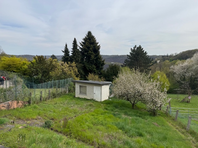 Aussicht Einfamilienhaus Solingen
