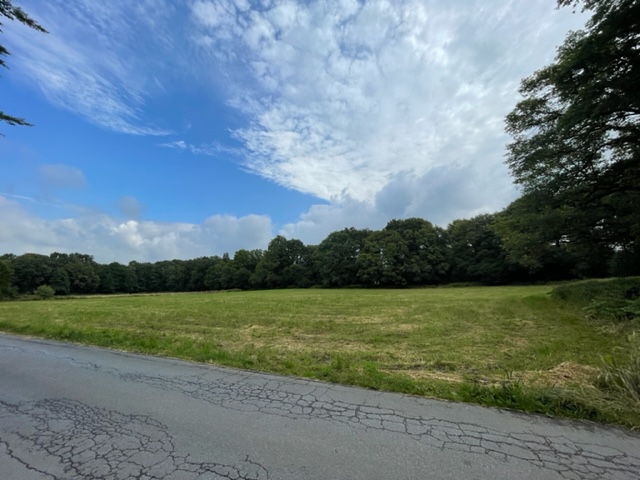  Freizeitgrundst�ck Langenfeld