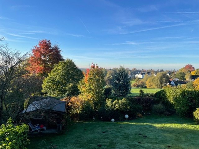 Blick zum Garten Reiheneckhaus Solingen