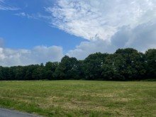  Gro�es Wald-Wiesengrundst�ck, ca. 20000 qm in Langenfeld-Wiescheid, Feldhauser Weg