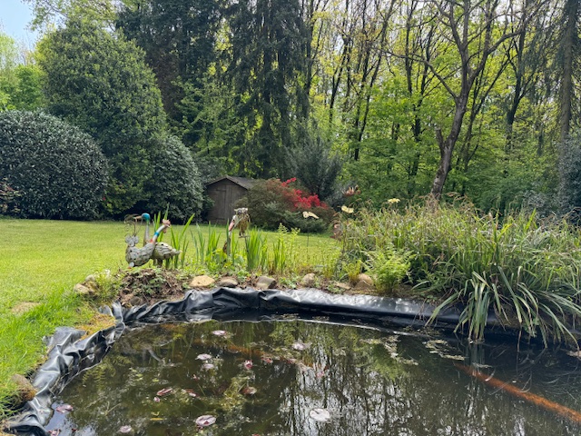 Gartenteich Einfamilienhaus Solingen