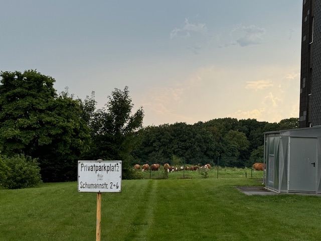 Umgebung Etagenwohnung Solingen